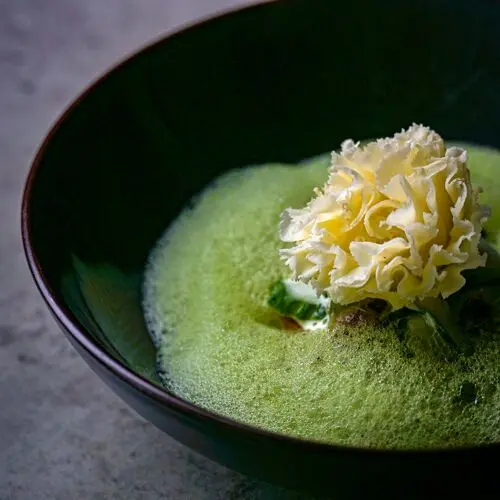 Das Vogelhaus in Klagenfurt am Wörthersee