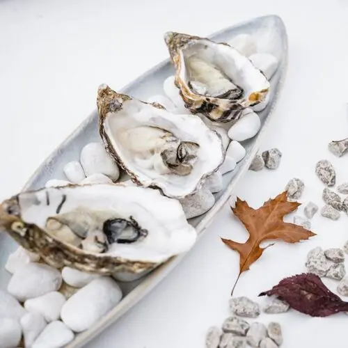 Batzenhäusl in Sankt Gilgen