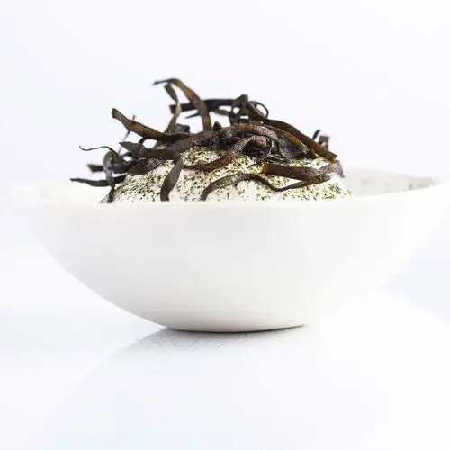 L'Oursin - Hôtel Les Roches in Le Lavandou