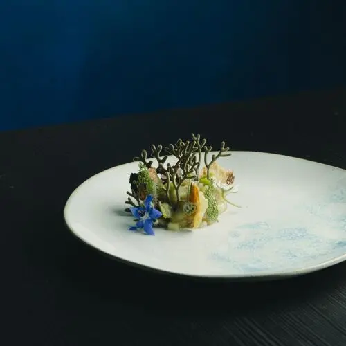 Cultivo in Heróica Puebla de Zaragoza
