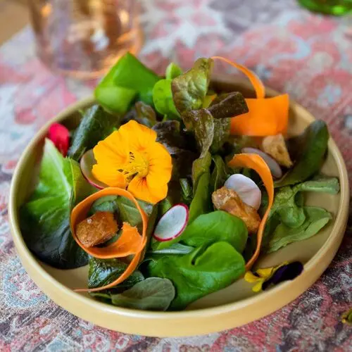 Fat Beet Farm Kitchen and Bakery in Tampa