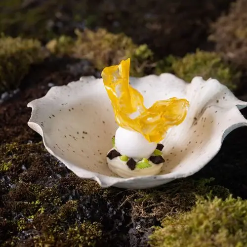 Moss in Grindavík