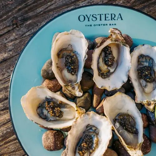 Oystera in Todos Santos