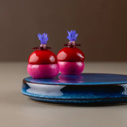 Setzkasten in Düsseldorf