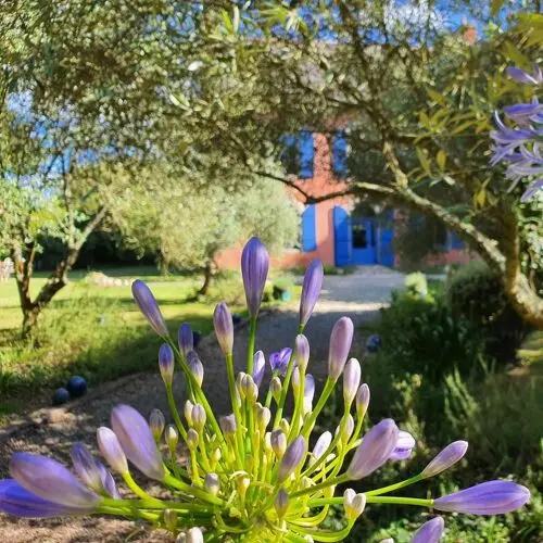 La Cigale Égarée in Quimperlé